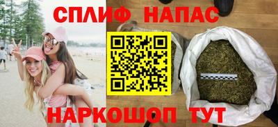 стафф Новозыбков