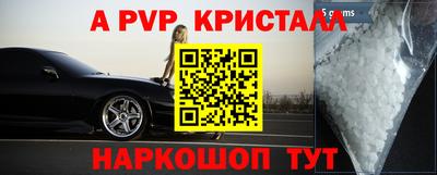 стафф Новозыбков