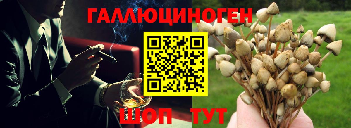 Псилоцибиновые грибы мицелий  Вход с VPN  Сибай 